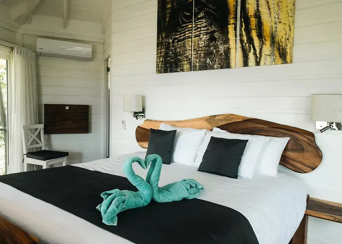 Mikado Natural Lodge
